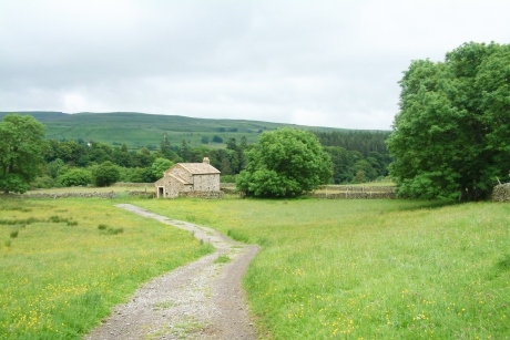 Moor House-Upper Teesdale National Nature Reserve
